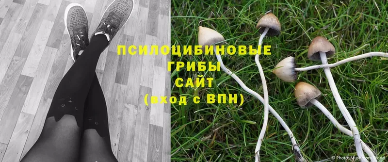 Галлюциногенные грибы Magic Shrooms  хочу наркоту  Губкинский 